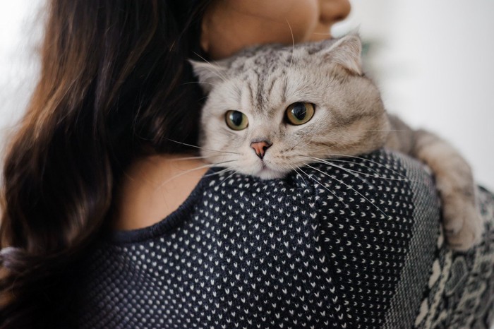 女性に甘える猫