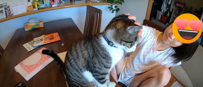 ノートに座る猫