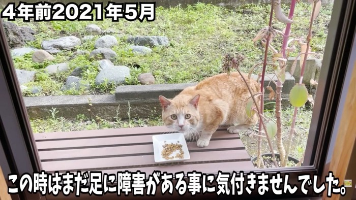 テロップ「この時はまだ~」