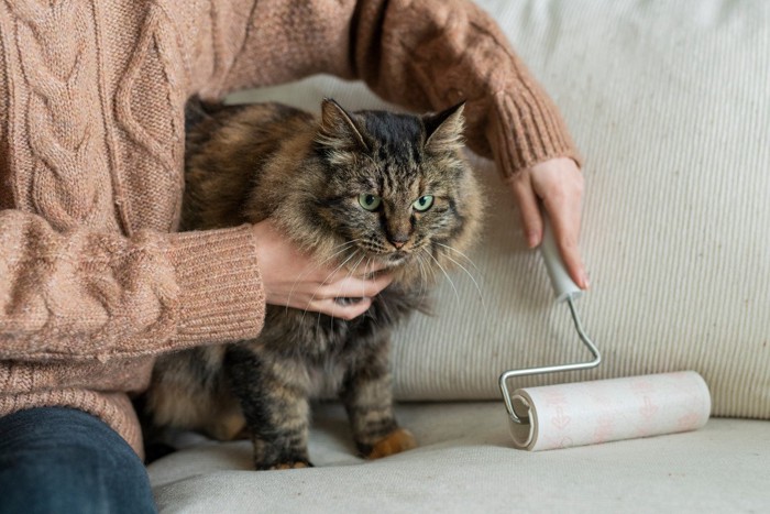 コロコロで掃除する猫の抜け毛