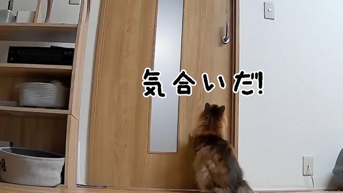 気合いだ！