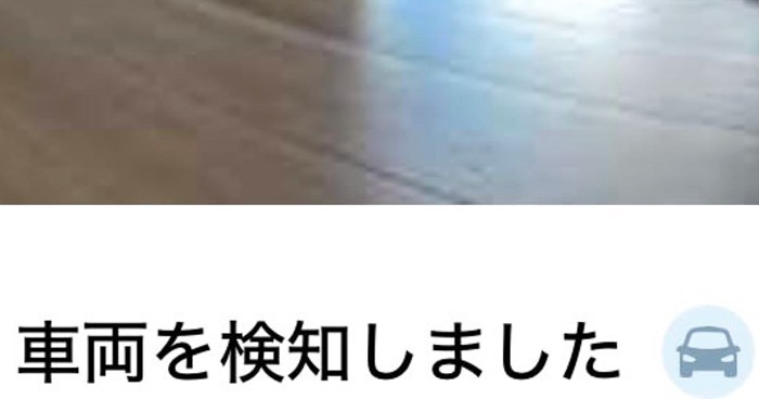 見守りカメラにうつる猫