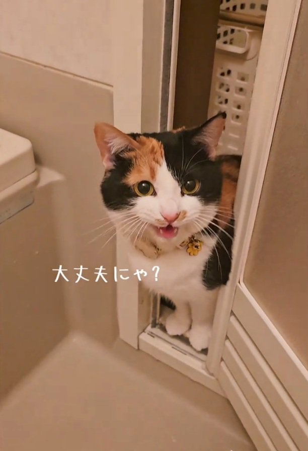 話しかけるマオマオちゃん