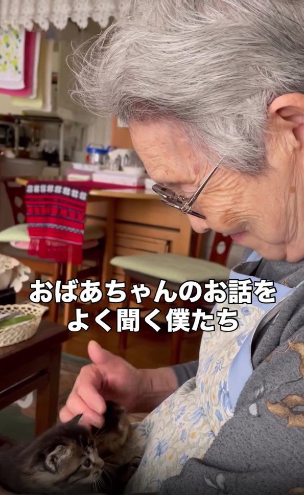おばあちゃんと2匹の子猫