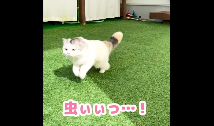 虫ぃぃっ…！