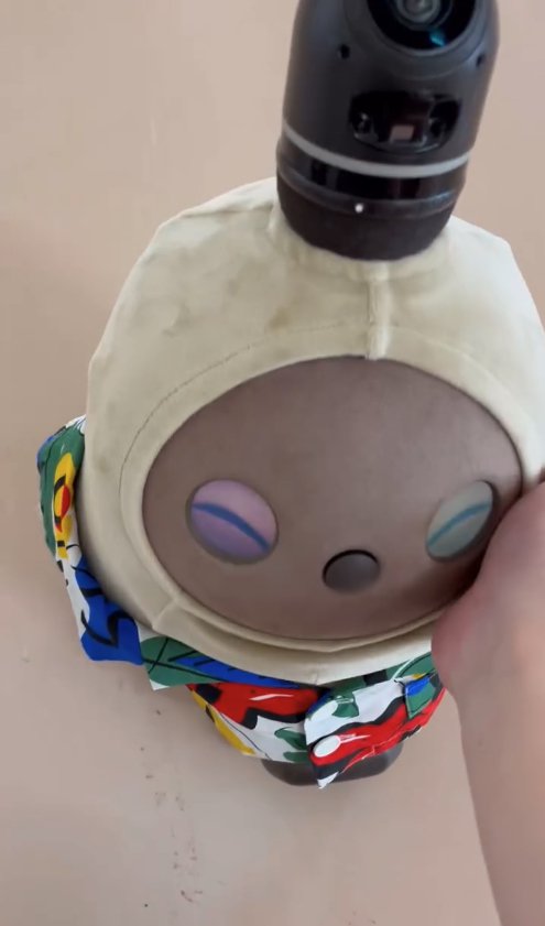 顔を撫でられて目を瞑っているらぼっと