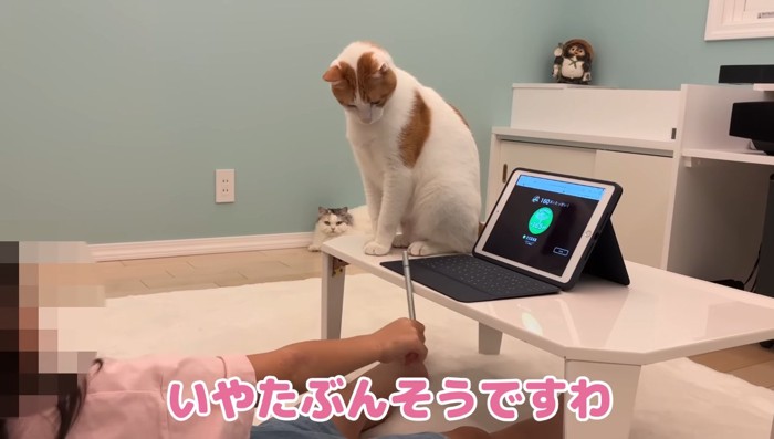 いやたぶん