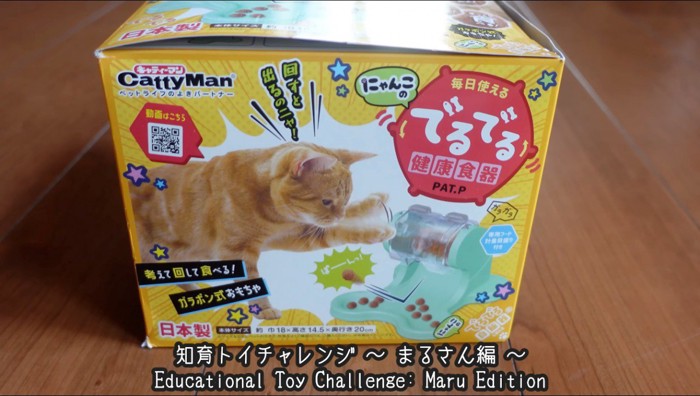床に置かれた猫用の知育トイ