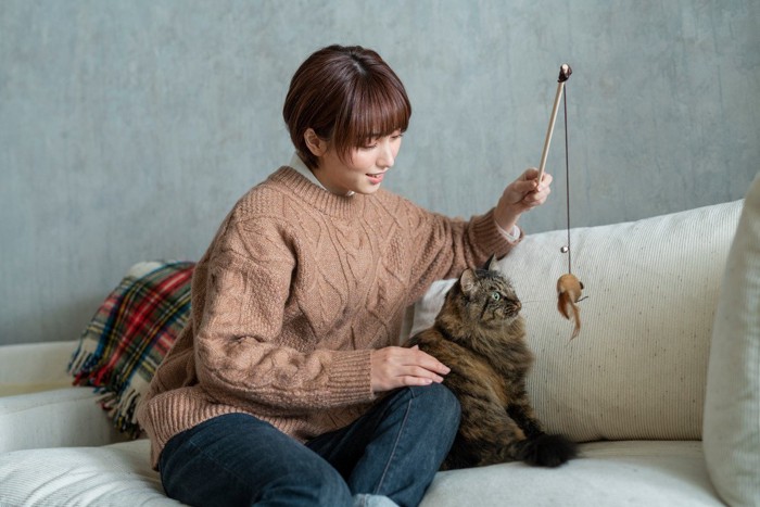 猫じゃらしを持つ女性と猫