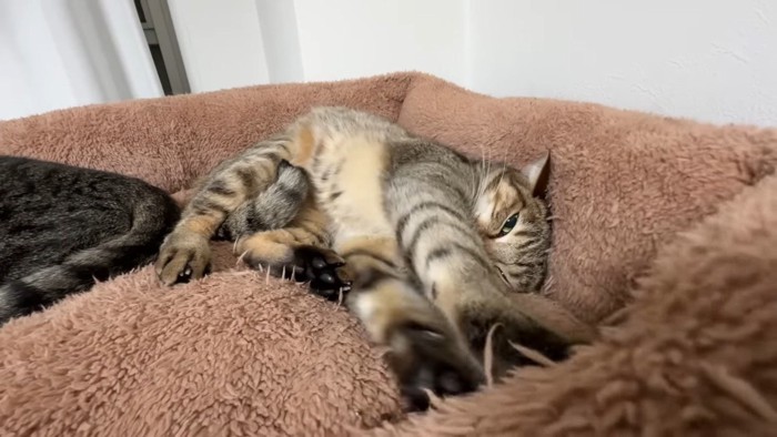 フミフミのアップ