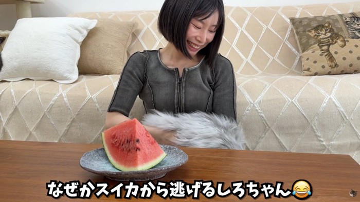 テロップ「なぜかスイカから~」