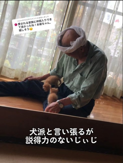 膝の上に猫