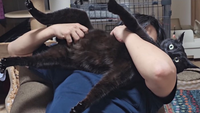 猫吸いされる猫