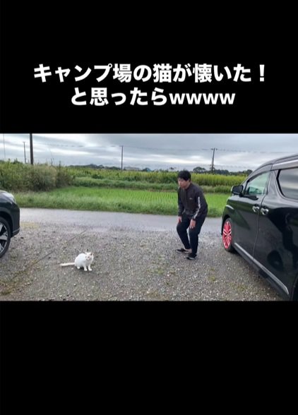 猫を見つける