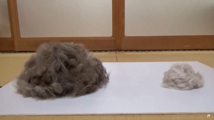 抜け毛の山がふたつ（収穫量の比較）