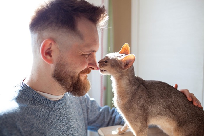 幸せそうな男性と猫