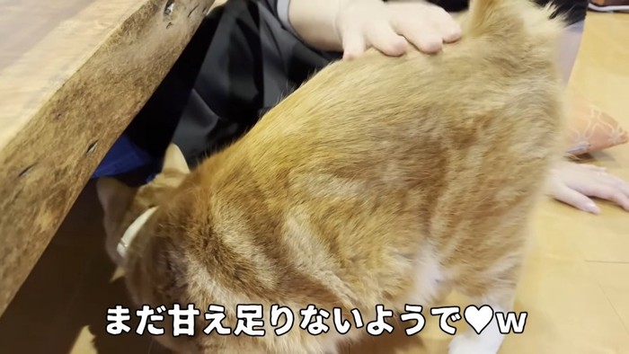 まだ甘え足りない