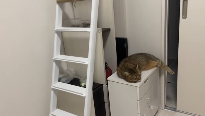 棚の上