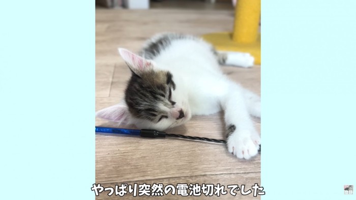 テロップ「やっぱり突然の～」