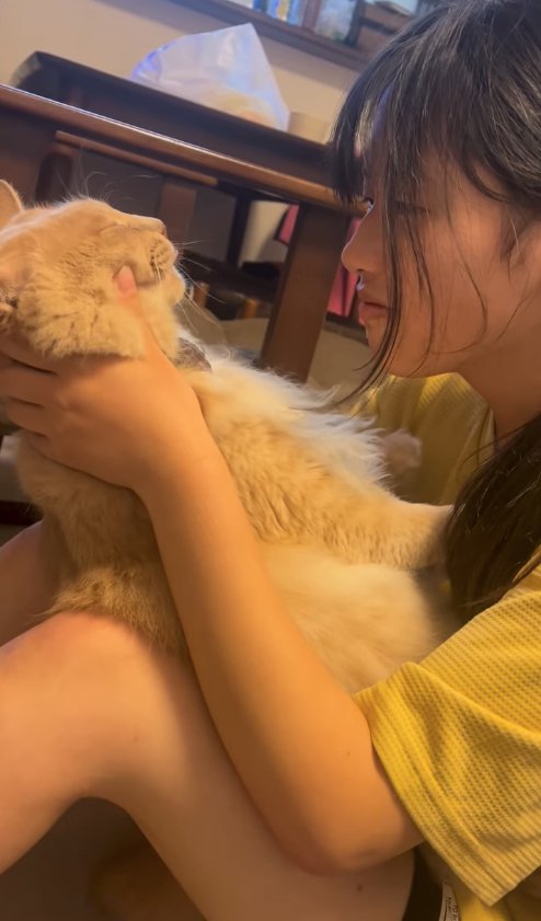 ほっぺたをマッサージされてアゴを上げている猫