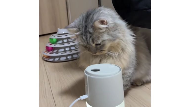 加湿器と猫