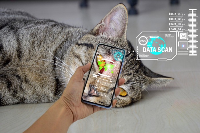 猫の顔をスマホで撮影し、AIによる情報を読み取る人間