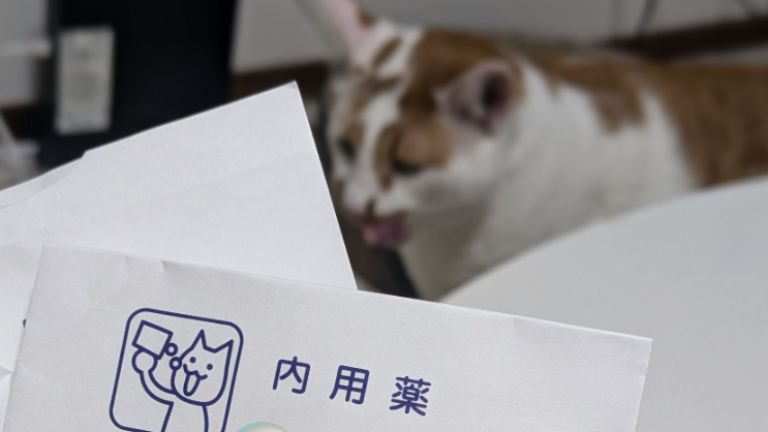 猫と薬袋