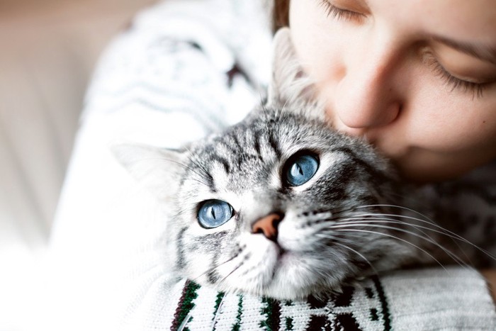 飼い主さんにキスされる猫