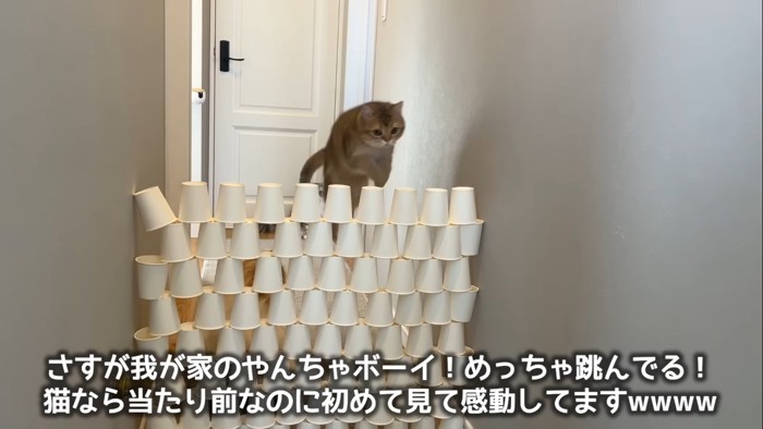 跳ぶこたつくん