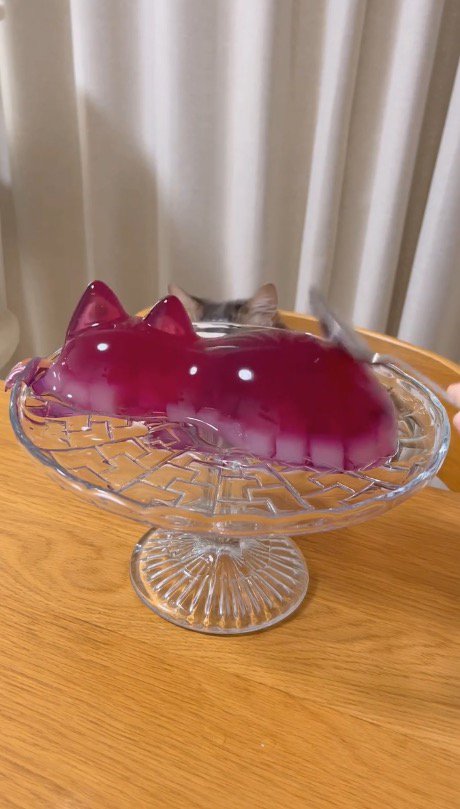 机の下に潜る猫