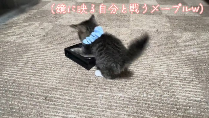 鏡に映る自分と