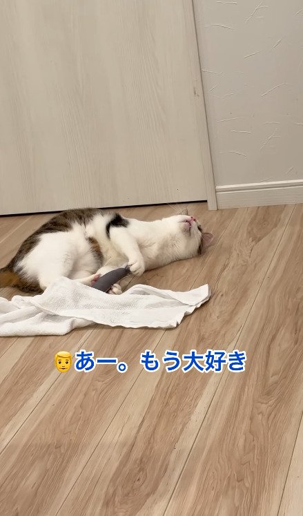 快感を覚えてしまった猫