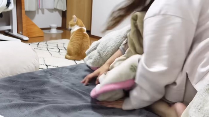 背中を向ける猫