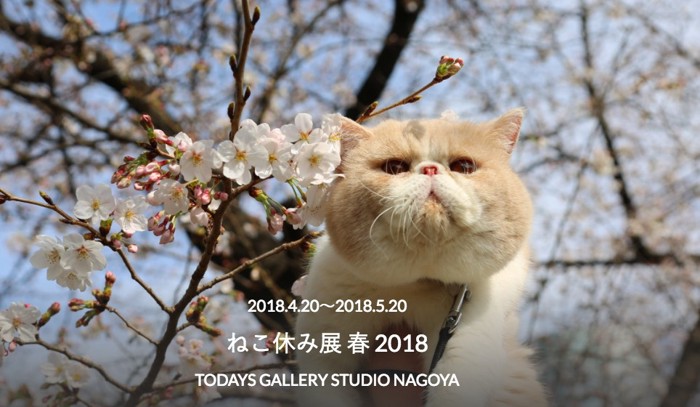 ねこ休み展