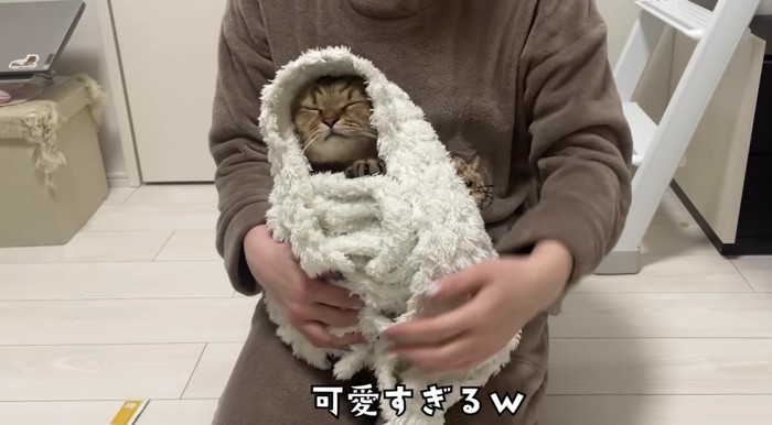 毛布から顔を出すみにらくん