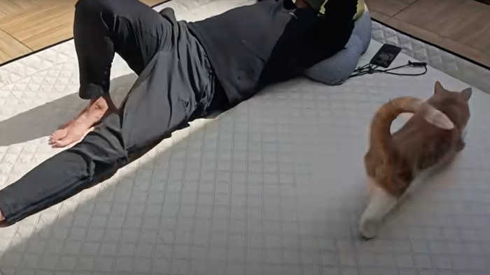 昼寝中の男性と猫