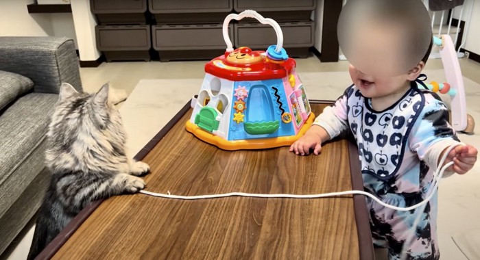 紐の上に手を置く猫
