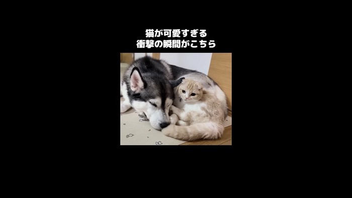 寄り添うふたり