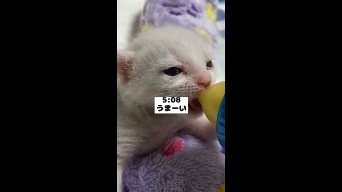 うまーい
