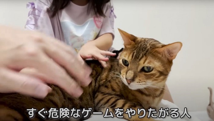 人の手と寝そべる猫