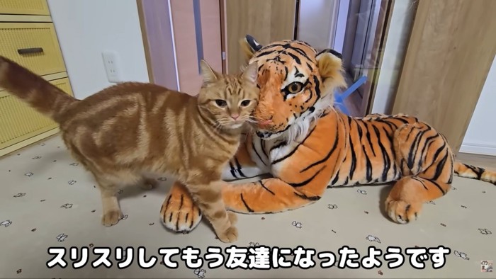 テロップ「スリスリして~」