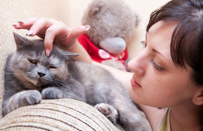 猫と女性