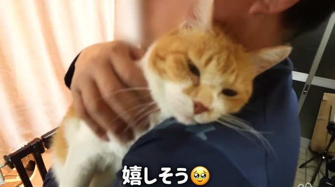 抱っこされるチャチャ君