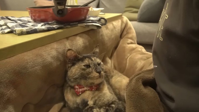 目を細めた表情