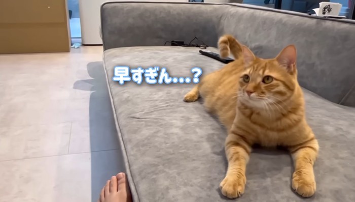 早すぎん…?