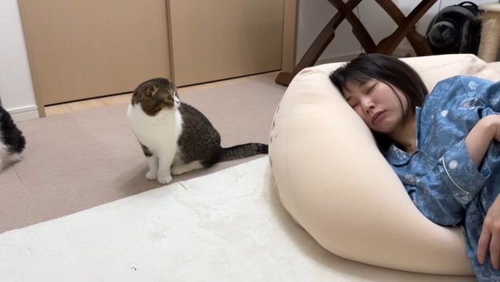 ママさんを見るぽこ太郎くん