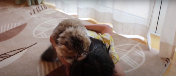 子どもにおんぶされる猫