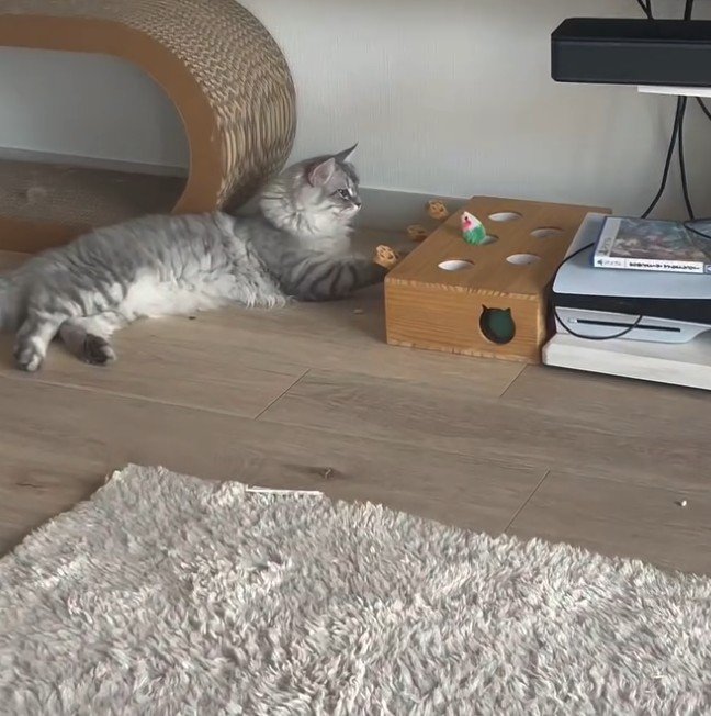 寝そべる猫が緑のねずみと向かい合う
