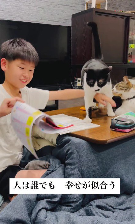 宿題の邪魔をする猫