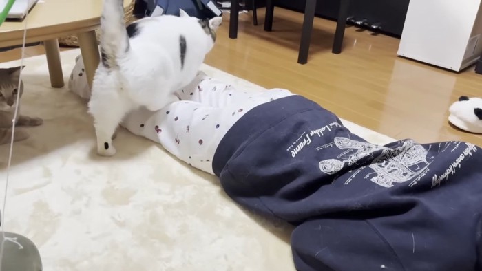 足の上に乗って